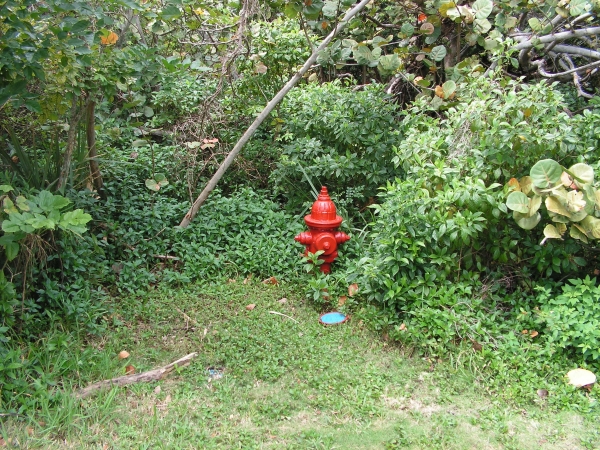 Creation of Hydrant: Step 1
